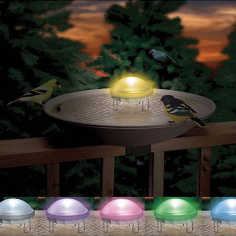 API Aurora Lighted Water Wiggler