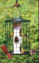 Varicraft Avian Mixed Seed Feeder With Wire Cage
