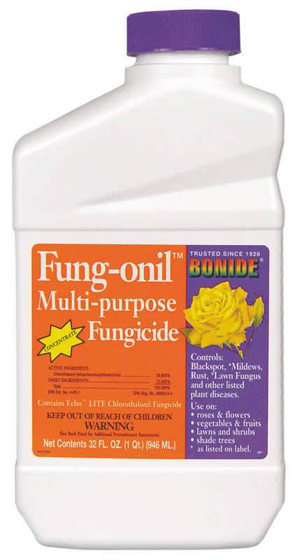 Bonide Qt Fungonil/Daconil Fungicide