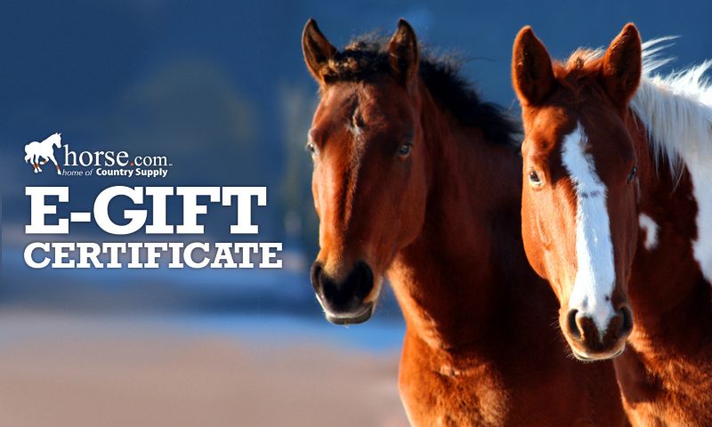 equestrian gift card 