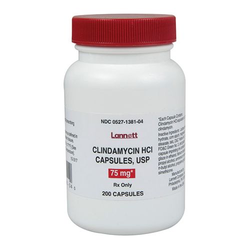 Clindamycin Tablet Clindamycin is in the lincosamide class of antibiotics, and also kills some protozoa. Dogs: It is used for the treatment of infections with certain bacteria, especially Staph; and protozoa, including Toxoplasma, Neospora, Babesia, and Hepatozoon. Cats: It is used for the treatment of infections with certain bacteria and Toxoplasma. Ferrets: It is used for the treatment of susceptible infections. Do NOT use clindamycin in rabbits, guinea pigs, chinchillas, or hamsters since it will affect the normal bacteria in the gastrointestinal tract and possibly cause a fatal diarrhea.