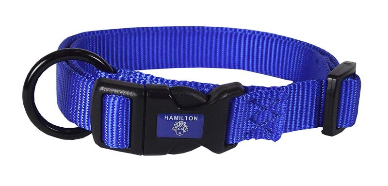 Hamilton Adjustable Dog Collar XSmall Blue