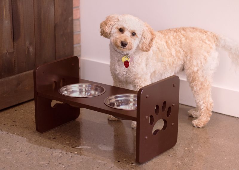 Merry Products Adjustable Pet Feeder