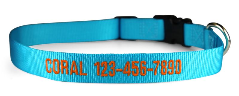 sunny blue nylon collar