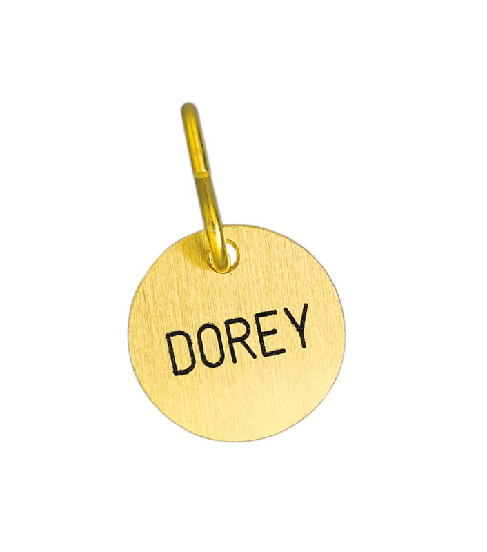 Engraved Round Brass Halter/Bridle Tag 1In