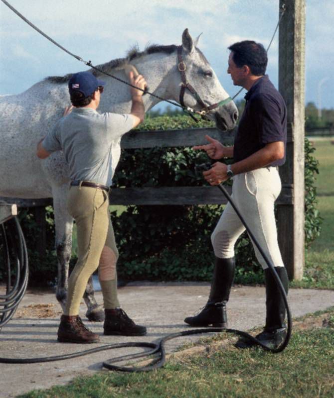Devon-Aire Mens Classic Cotton Breech