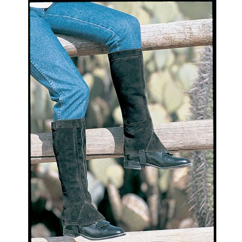 Barnstable Ladies Half Chaps