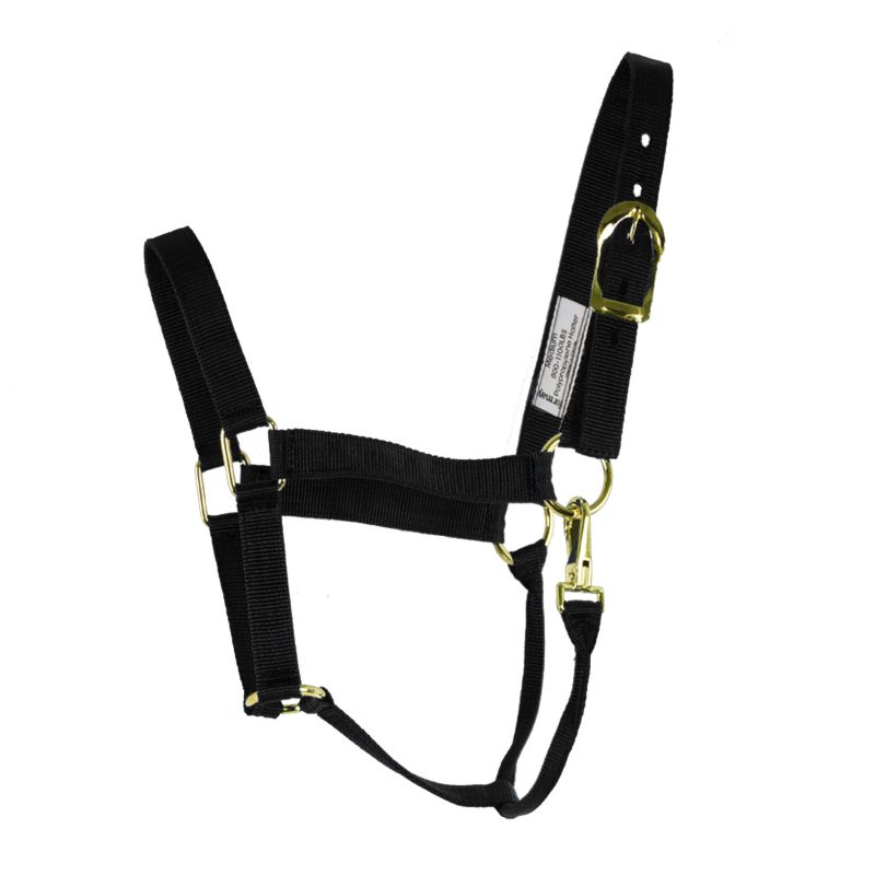 ProCraft Poly Halter