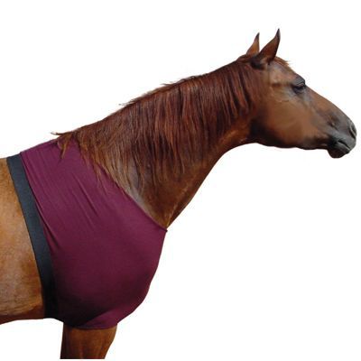 Chesty With Tail Sock