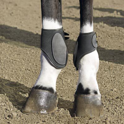 Classic Equine Leather Fetlock Boots