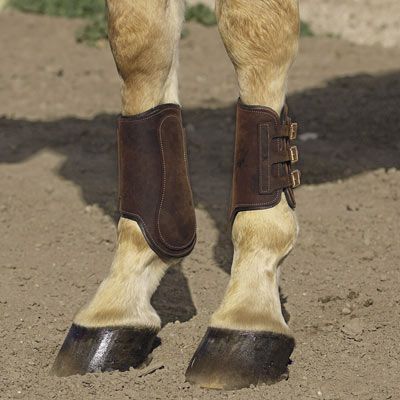 Classic Equine Leather Brushing Boots