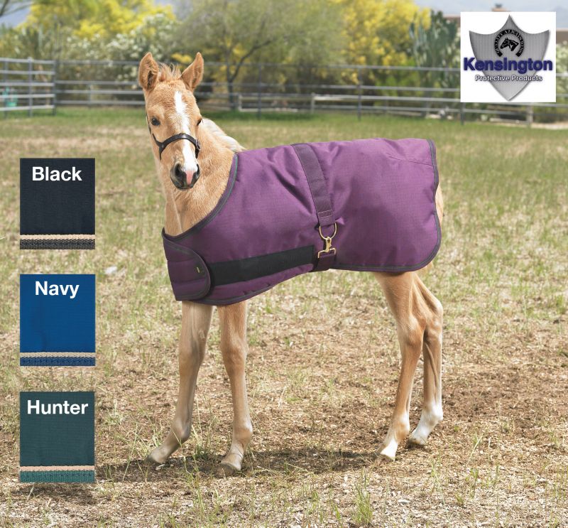 Kensington Foal Turnout Blanket