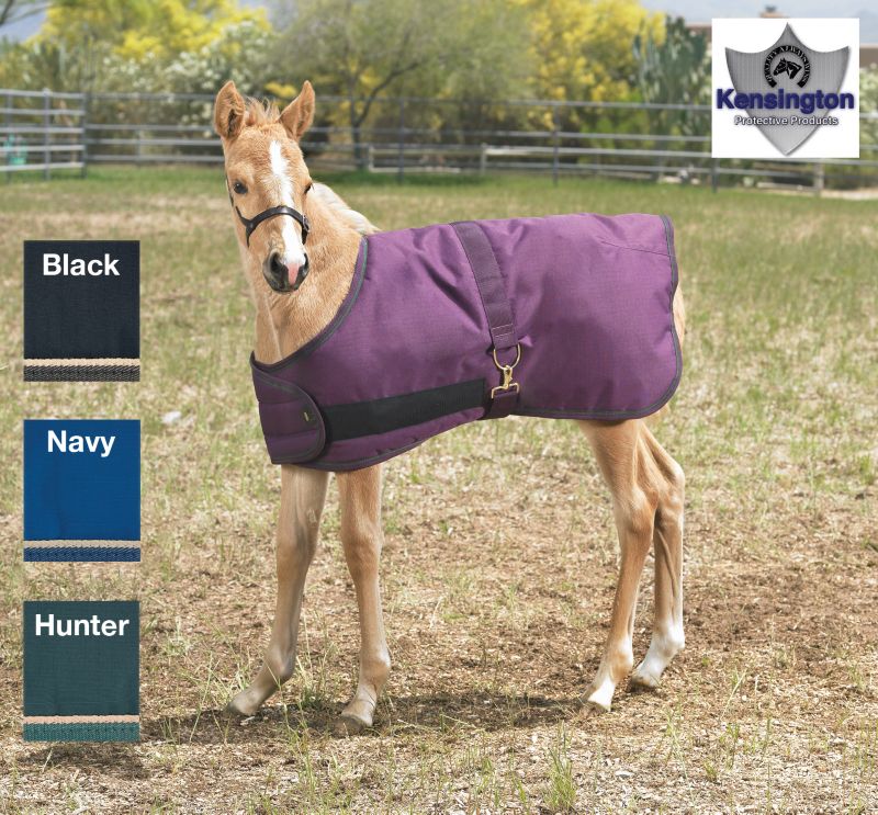 Kensington Foal Turnout Blanket