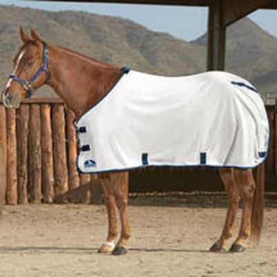 Slt Traditional Fly Sheet