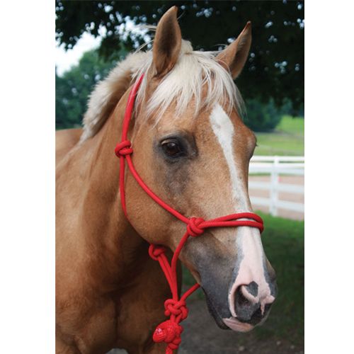 Basic Poly Rope Halter w/Lead Pink Best Price