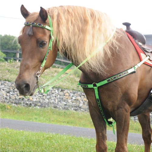 Triple E Headstall