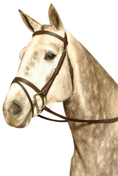 Kincade Event Bridle