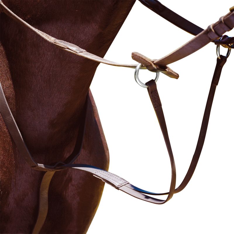 Wintec Running Martingale Brown Best Price