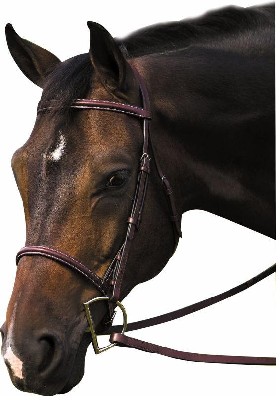 Henri De Rivel Raised Bridle