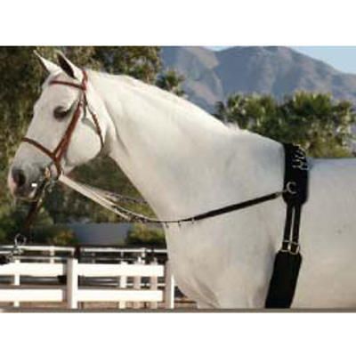 Mustang Training Surcingle