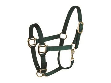 ProCraft Premium Adjustable Nylon Halter