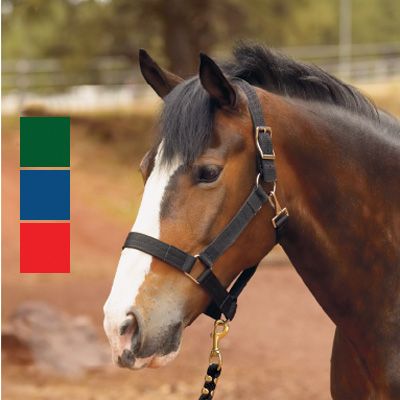 Triple Ply Draft Halter