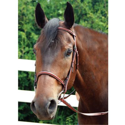 Rodrigo Plain Raised Bridle by Pessoa Oak