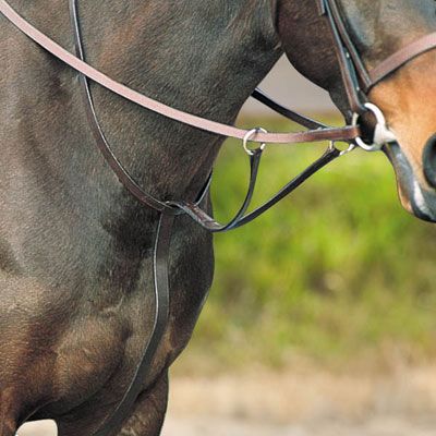 Kincade Flat Runningmartingale Brown