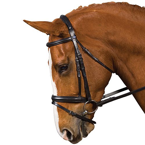 Collegiate Comfort Dressage Bridle