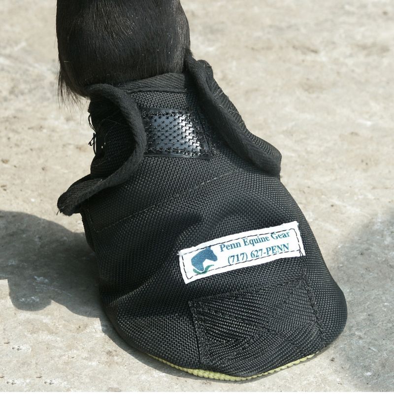 Replacment Pad For Hoof Sock