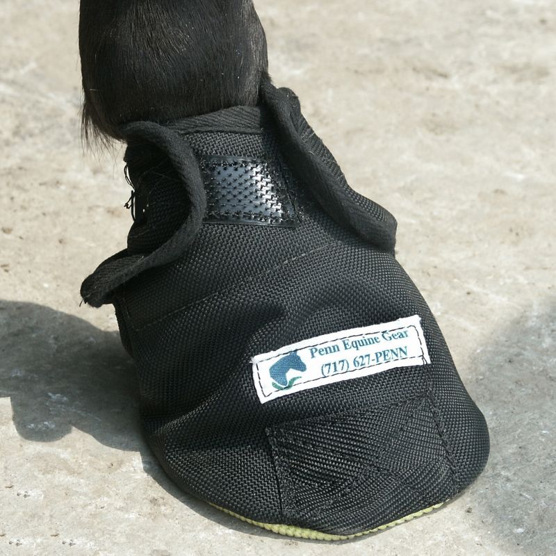 Replacment Pad for Hoof Sock