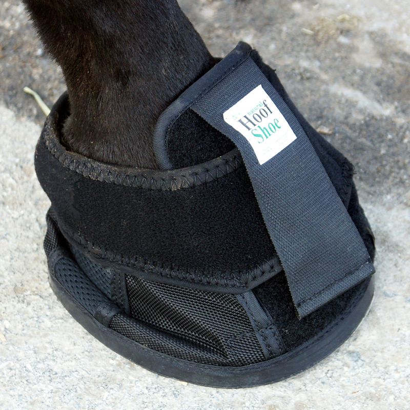 Natural Hoof Shoe