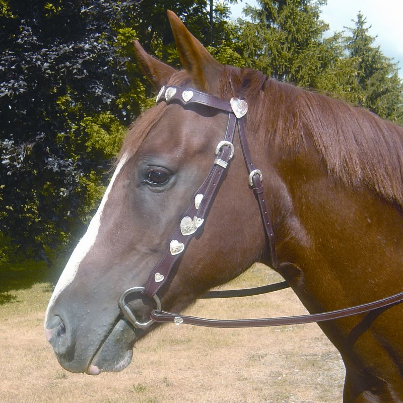 Tahoe Silver Heart Browband Headstall with Reins F