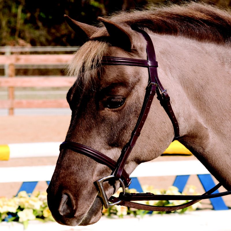 HDR Club Plain Raised Bridle