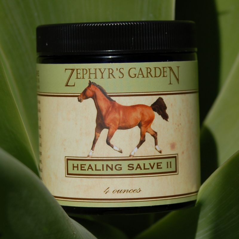 Zephyrs Garden Healing Salve II