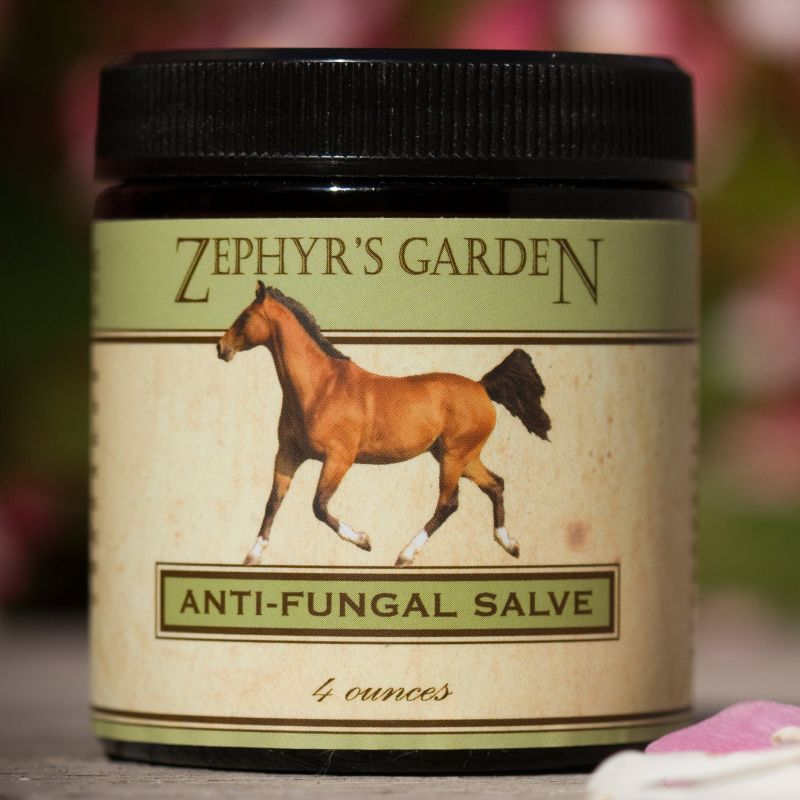 Zephyrs Garden Anti-Fungal Salve