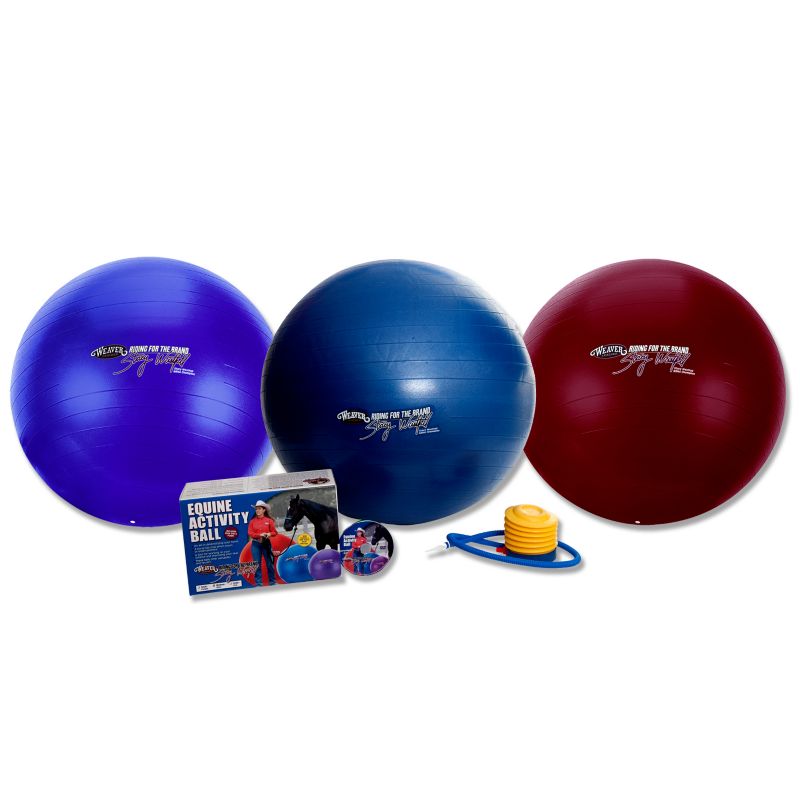 Weaver Stacy Westfall Training Activity Ball Small