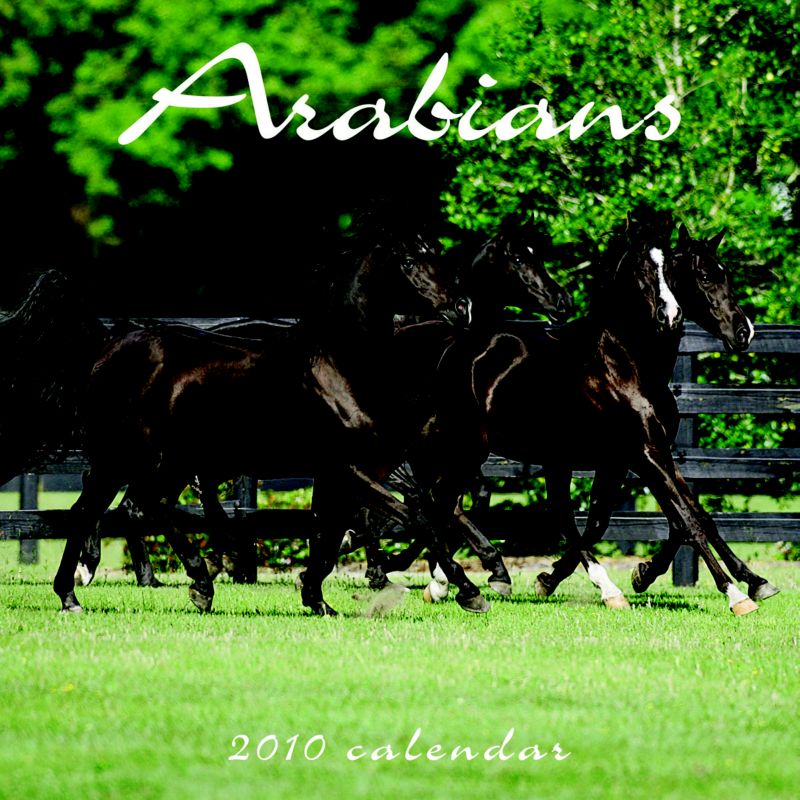 Arabians 2010 Calendar