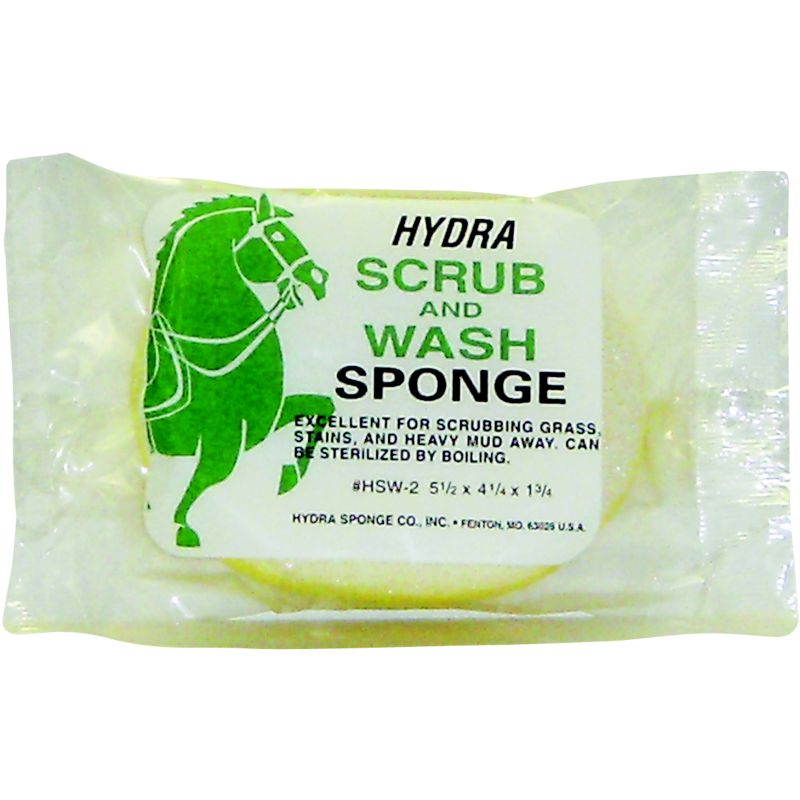 Scrub and Wash Sponge