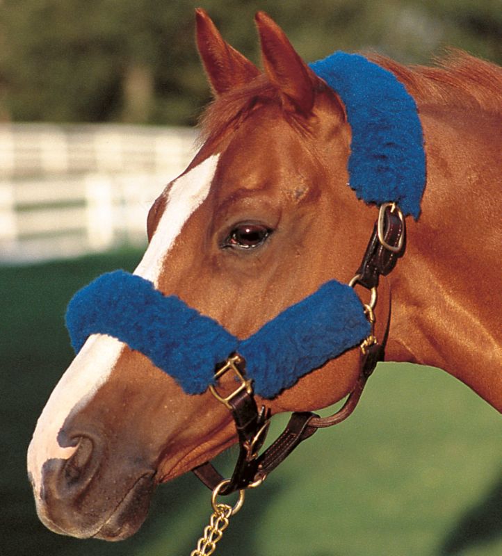Basic Fleece 4-Piece Halter Tube Set