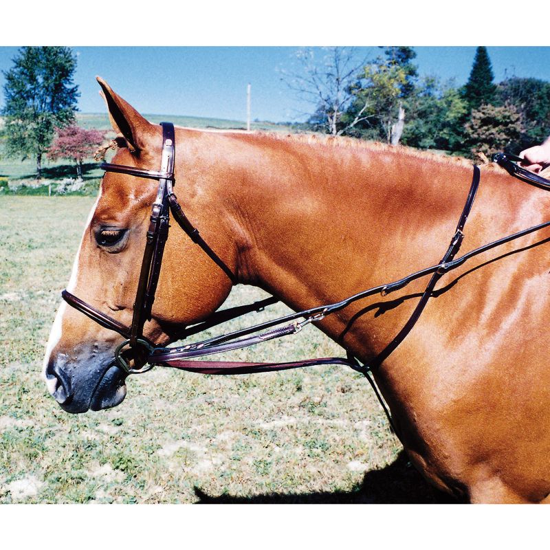Tory Premium Leather German Martingale