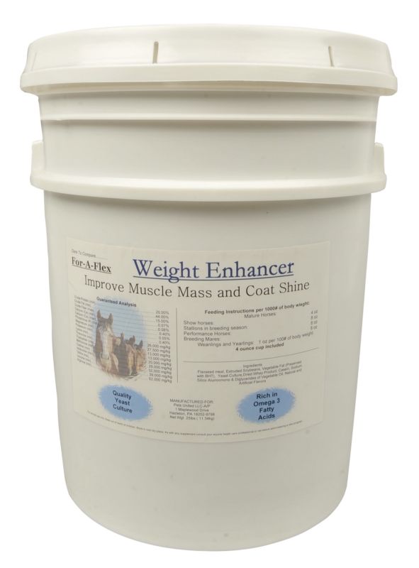 For-A-Flex Weight Enhancer 25 lbs