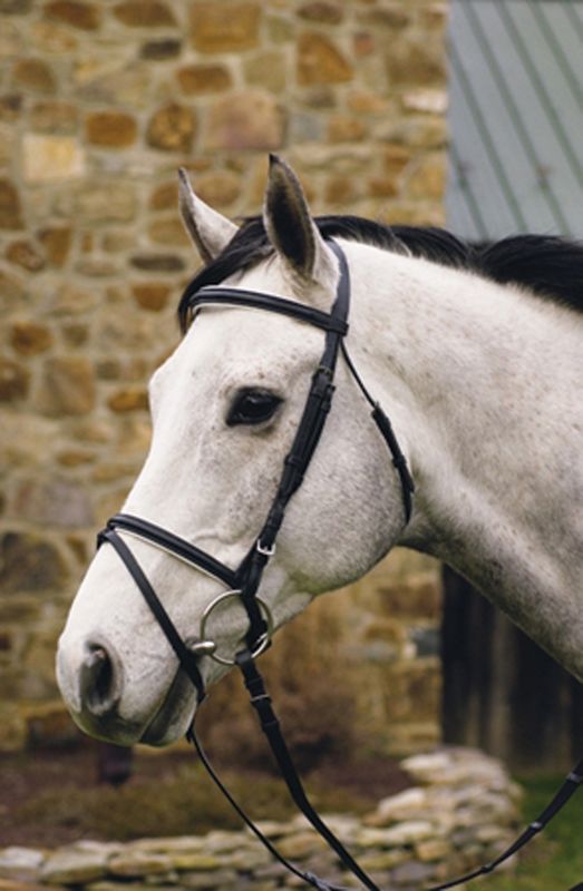 HDR Padded Dress Bridle/Flash Horse Blk/Wht