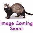 Caring For Yor Small Pet DVD Rabbit