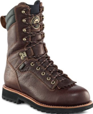 Irish Setter Black Bear