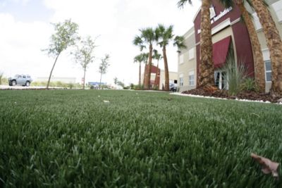 Easy Grass