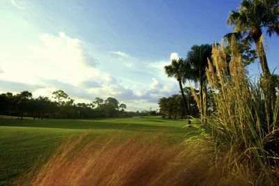 Frenchman's Creek Realty