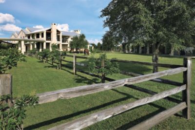 Rear Elevations