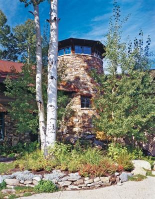 Rear Elevations