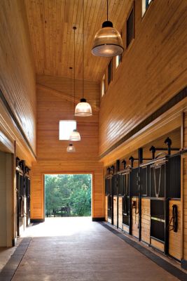Media Rooms